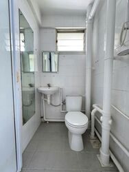 Blk 176 Boon Lay Green (Jurong West), HDB 3 Rooms #629646771